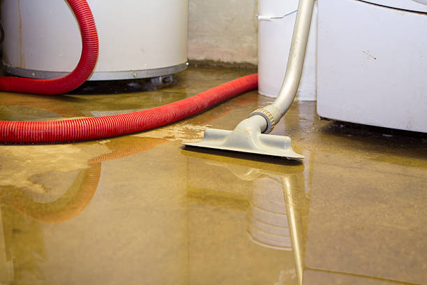 Best Carpet water damage restoration  in Tyndall, SD