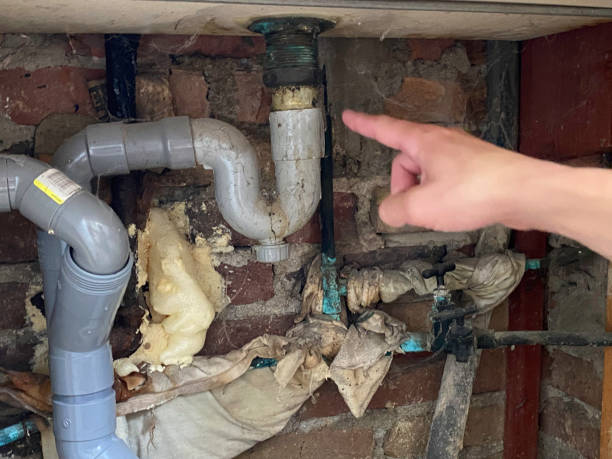 Best Water damage restoration services  in Tyndall, SD
